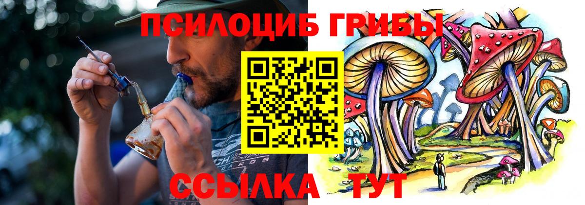 Галлюциногенные грибы мухоморы  Вход с VPN  Шадринск 