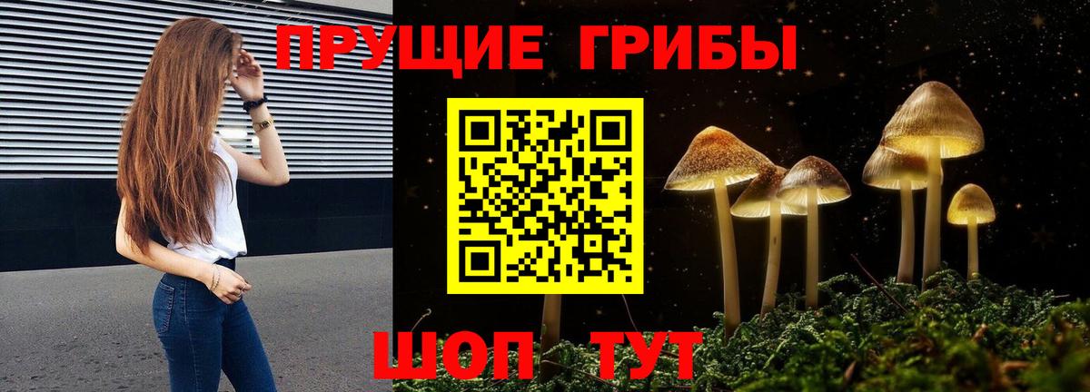 Псилоцибиновые грибы Cubensis Шадринск